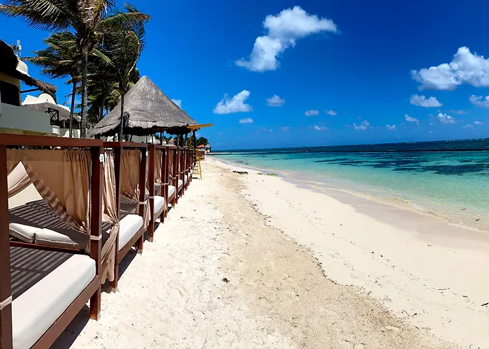 Desire Riviera Maya Inclusive, Exclusively For Couples (adults Only)